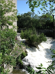 Elora Gorge Falls